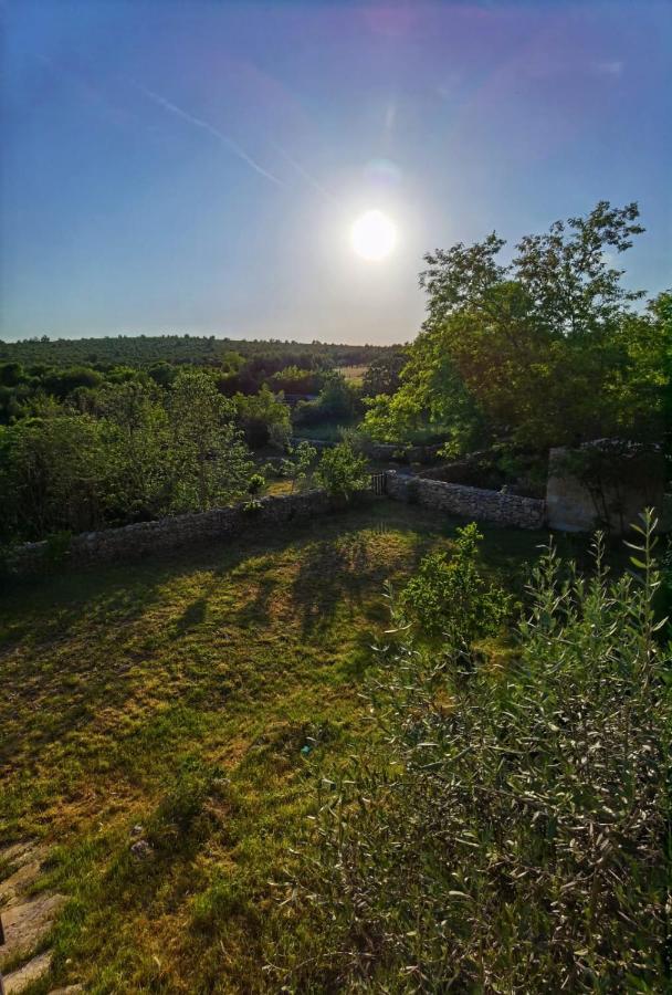 Villa Dvori Dida Mile Sveti Petar  Kültér fotó