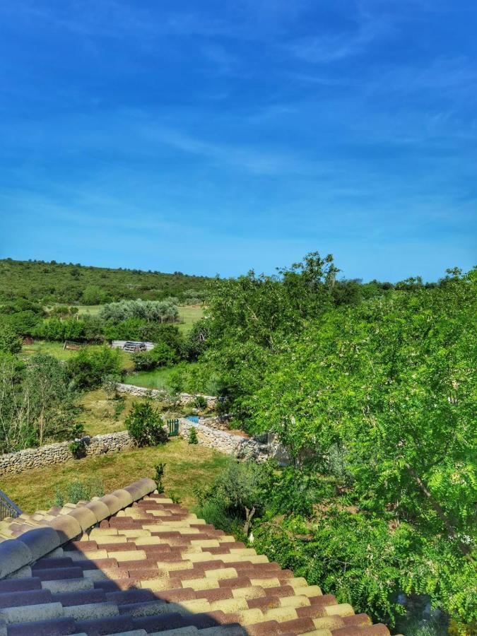 Villa Dvori Dida Mile Sveti Petar  Kültér fotó
