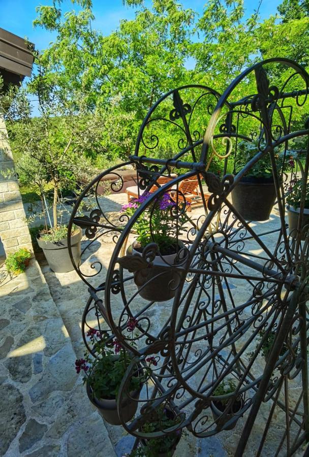Villa Dvori Dida Mile Sveti Petar  Kültér fotó