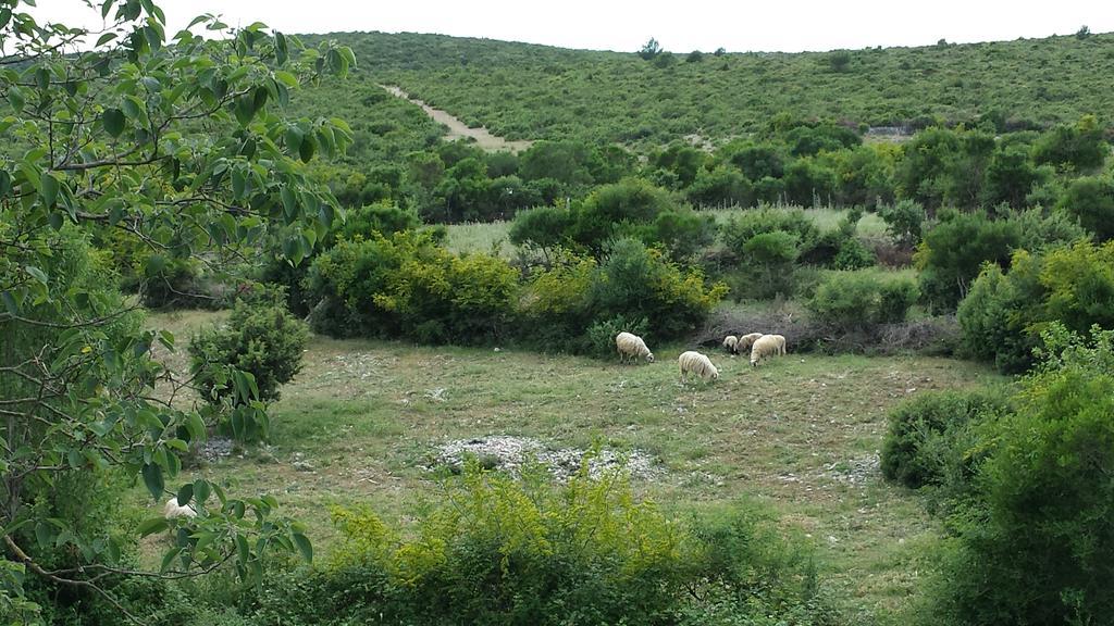 Villa Dvori Dida Mile Sveti Petar  Szoba fotó