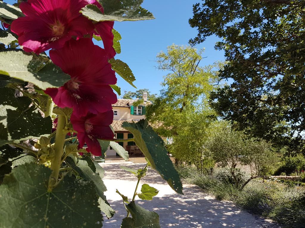 Villa Dvori Dida Mile Sveti Petar  Kültér fotó